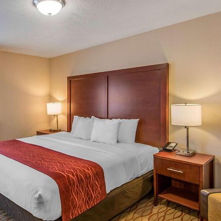 Comfort Inn Mount Shasta Area Weed Εξωτερικό φωτογραφία