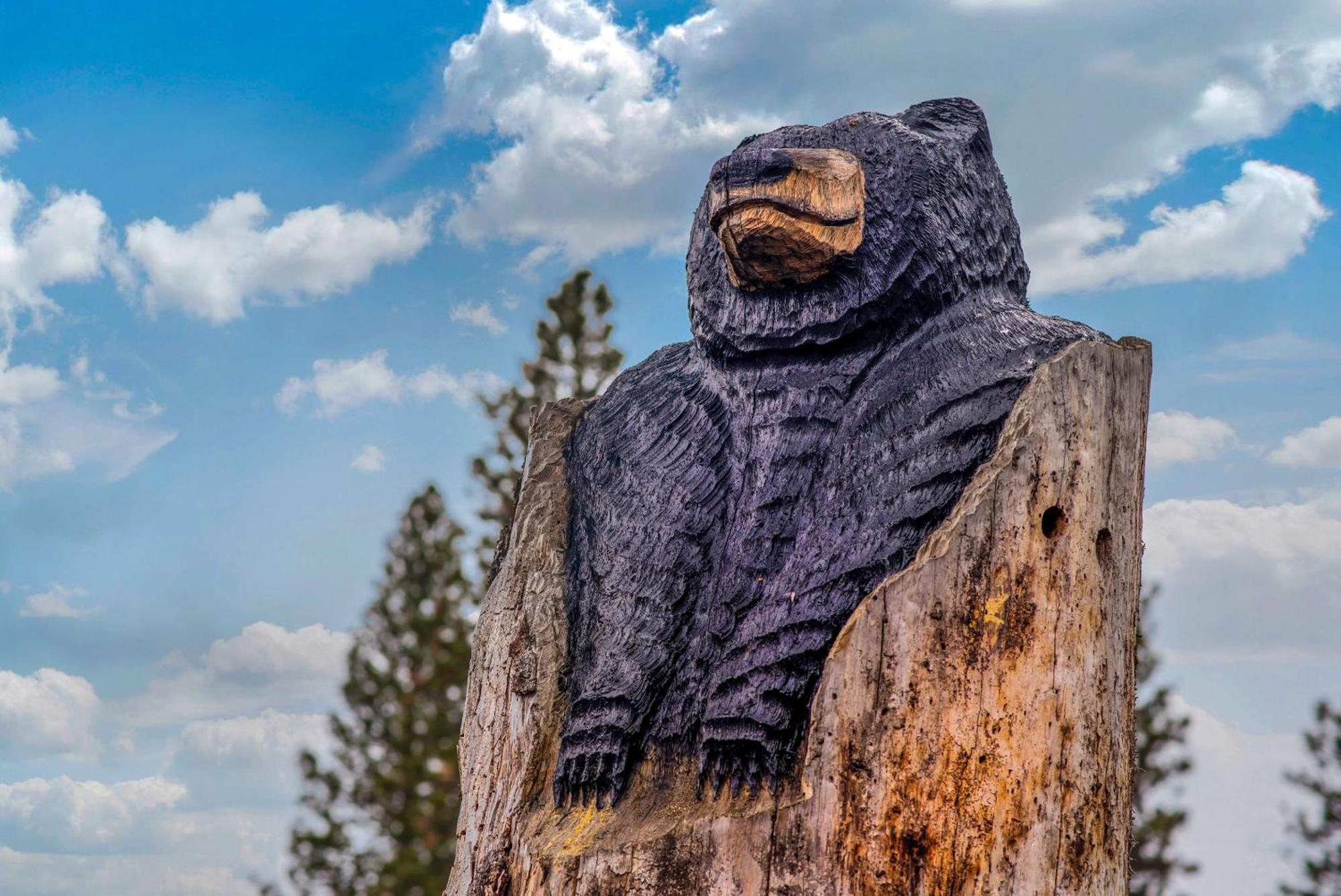 Comfort Inn Mount Shasta Area Weed Εξωτερικό φωτογραφία